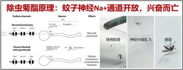 插电驱蚊液对身体有害吗视频，插电驱蚊液对身体有害吗女生